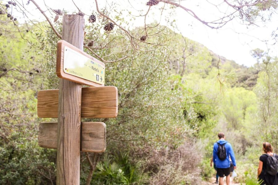Explore Marbella's Nature: Guided Hiking And Foraging Trip - Who will enjoy this experience most