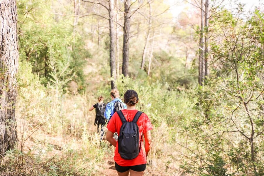 Explore Marbella's Nature: Guided Hiking And Foraging Trip - Practical booking advice