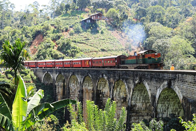 Explore the best of Ella. Hiking, waterfalls and cultural tour - A secret waterfall and a practical lunch stop
