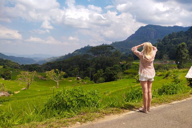 Explore the best of Ella. Hiking, waterfalls and cultural tour - What the $76 price really covers