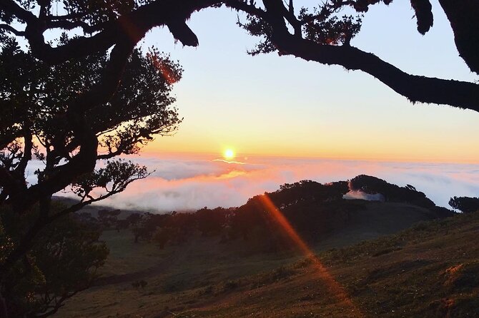 Fanal Forest Private Sunset Hike - Who will enjoy this Fanal hike most