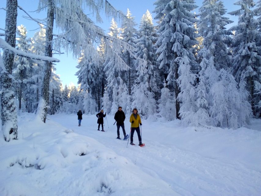 Fichtelgebirge: snowshoe hike - Key points to know before you book