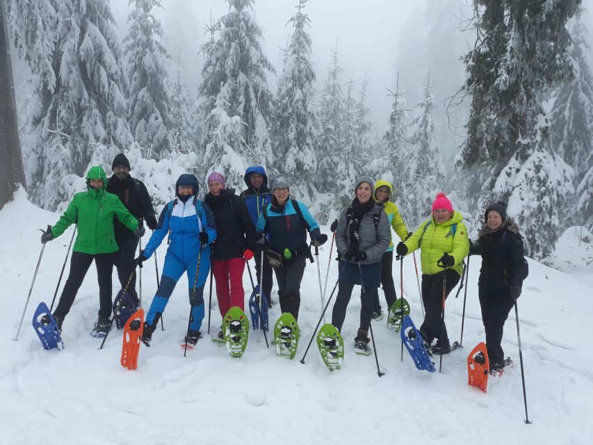 Fichtelgebirge: snowshoe hike - Why snowshoeing works so well in the Fichtelgebirge