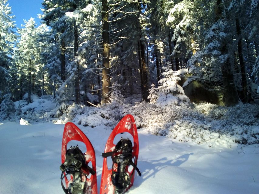 Fichtelgebirge: snowshoe hike - Three hours and five kilometers of winter walking