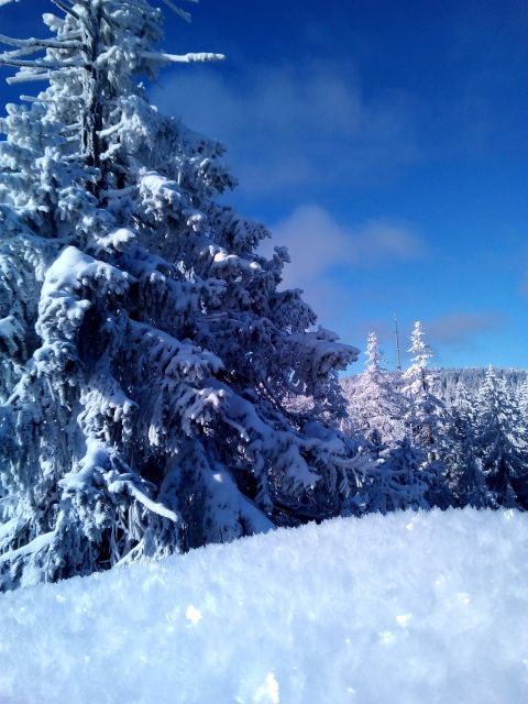 Fichtelgebirge: snowshoe hike - Starting in Bayreuth, then heading toward the snow