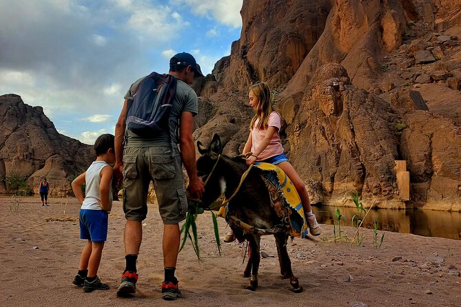 Fint Oasis Private Day Hike - What the $46.46 Price Really Covers