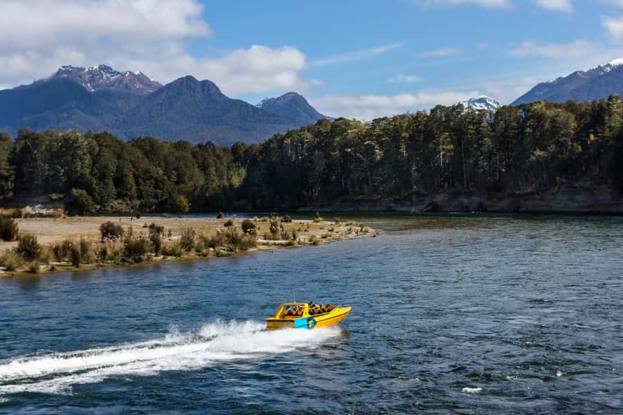 Fiordland: Jet Boat & Nature Walk Experience from Te Anau - Trout, beech trees, and the 15-minute walk