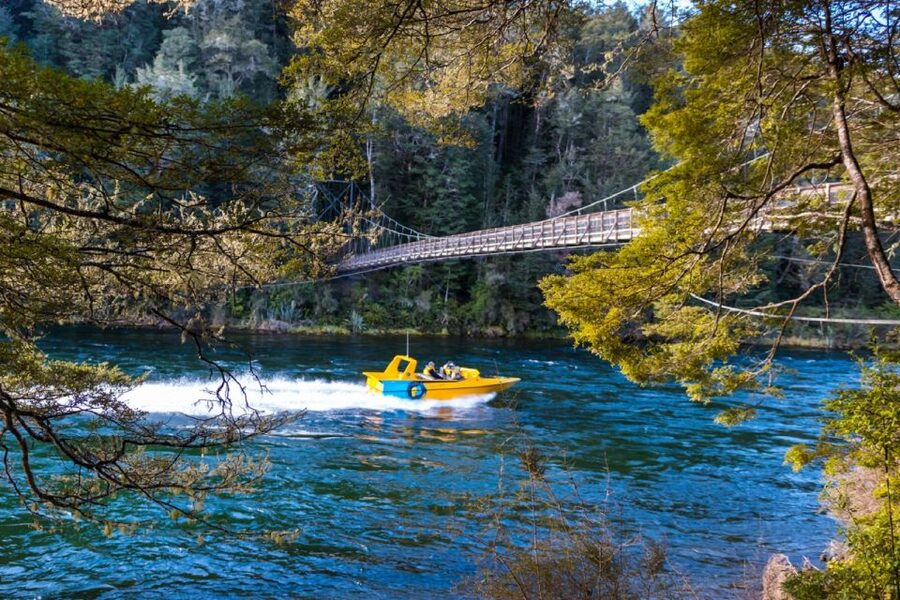 Fiordland: Jet Boat & Nature Walk Experience from Te Anau - Who should book this experience?