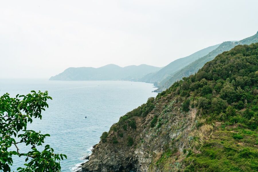 Florence: Cinque Terre Day Trip with Optional Hiking or Pisa - The Pisa option is a different kind of day