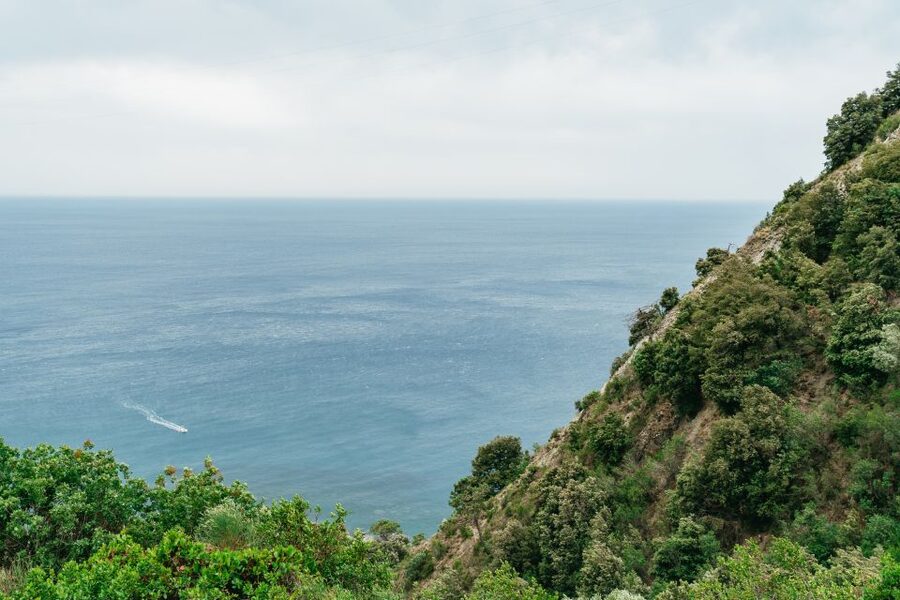 Florence: Cinque Terre Day Trip with Optional Hiking or Pisa - Monterosso brings beaches and food