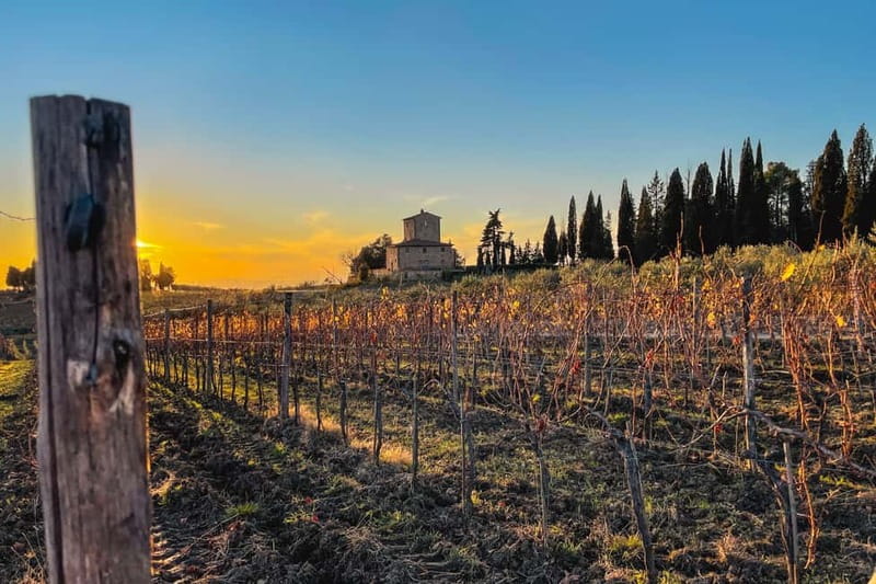 Florence: Hiking Tuscany & Chianti wine 3 wineries and lunch - The first winery, a medieval stop in Panzano