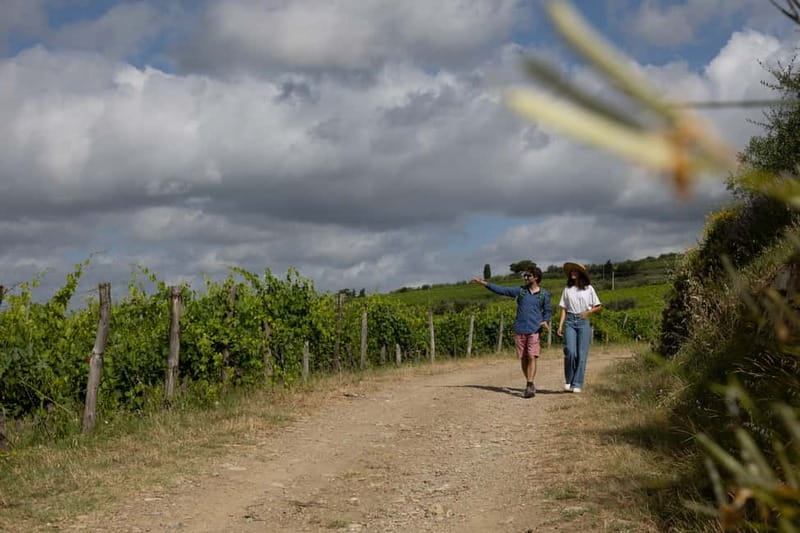 Florence: Hiking Tuscany & Chianti wine 3 wineries and lunch - A Tuscan lunch made for the wine