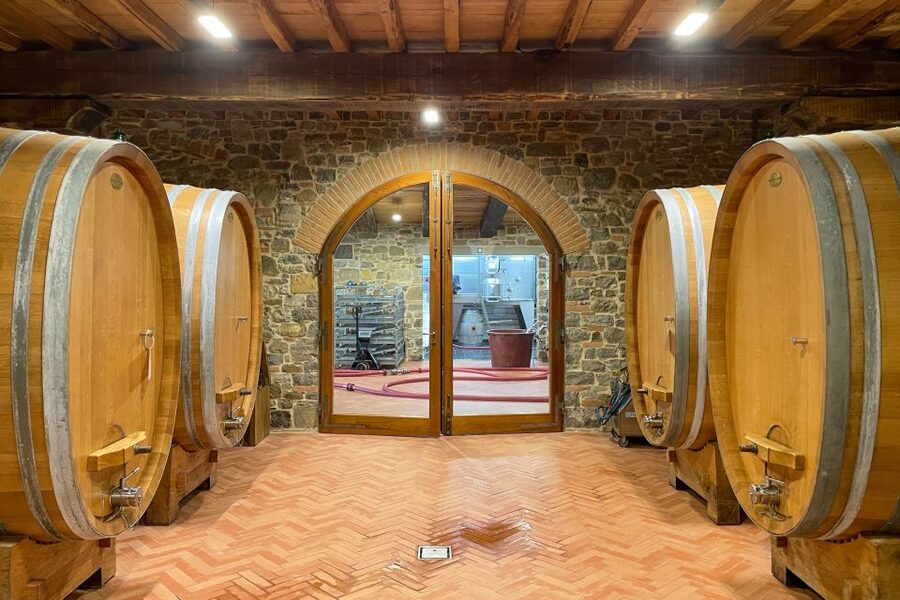 Florence: Hiking Tuscany & Chianti wine 3 wineries and lunch - The modern winery above Montefioralle