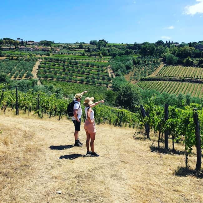 Florence: Hiking Tuscany & Chianti wine 3 wineries and lunch - From Florence to the Conca d’Oro