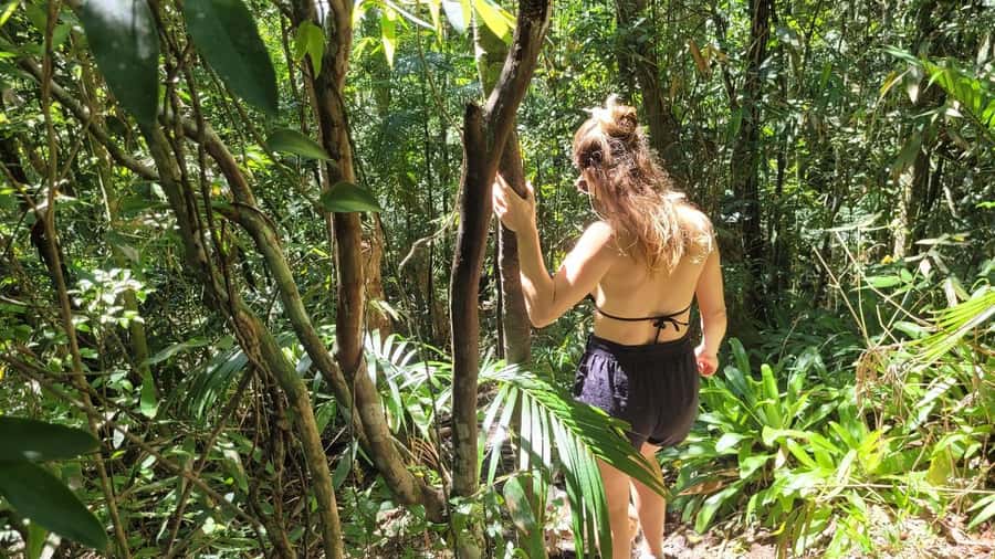 Florianopolis: Lagoinha do Leste Natural Park Hike - Key points to know before you go