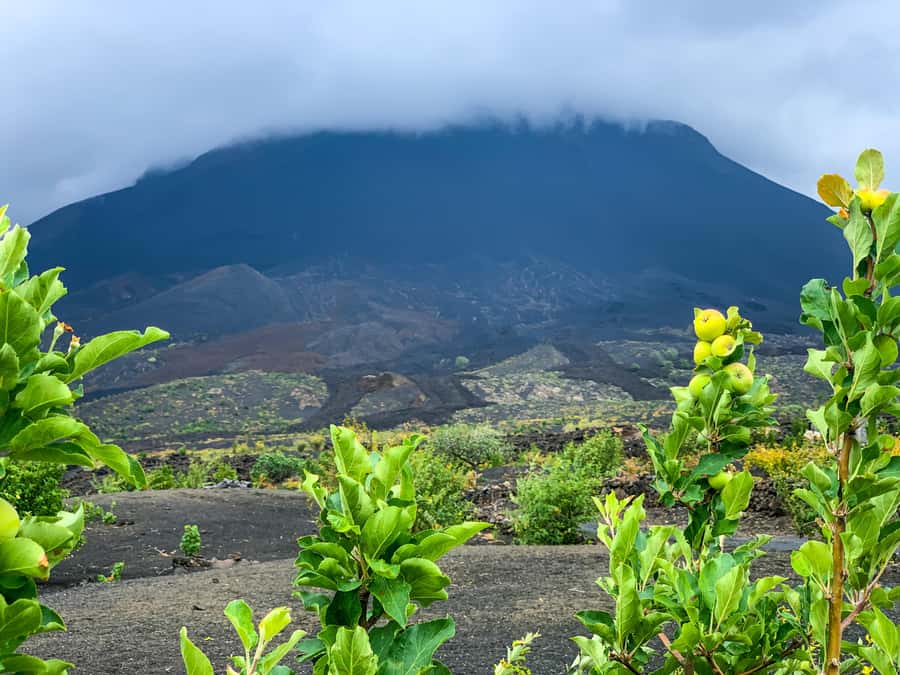 Fogo Island: Pico do Fogo Volcano Summit Hike - Why Pico do Fogo is worth the effort