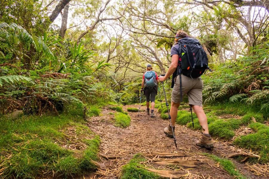 Forest Bélouve: Trou de Fer Weekly Group Hike in French - Key points to know before you book
