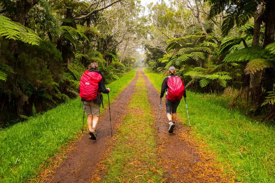 Forest Bélouve: Trou de Fer Weekly Group Hike in French - Practical packing advice for five hours outdoors