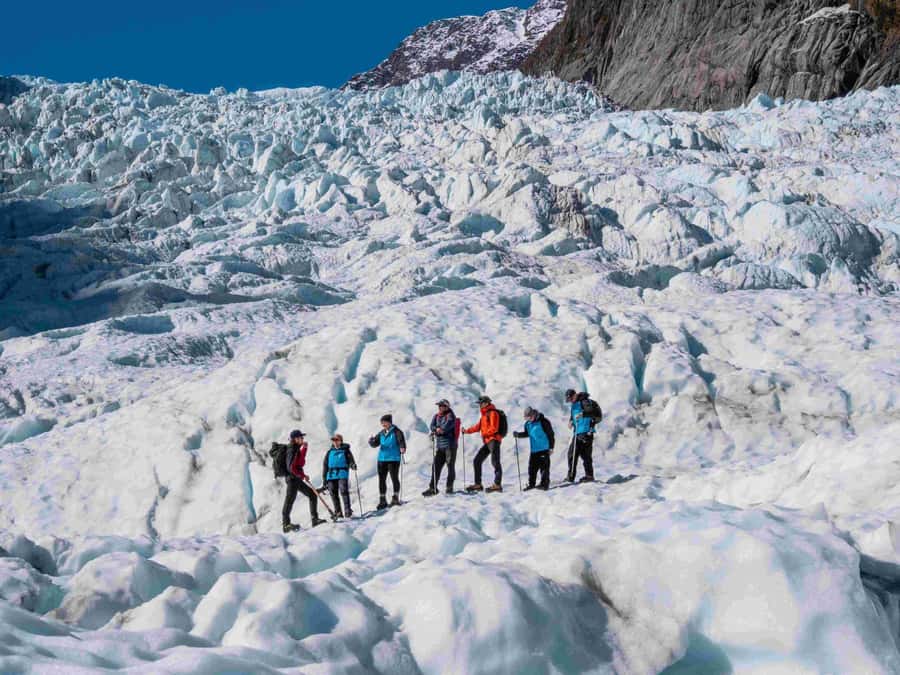 Fox Glacier: Up to 3 Hours Hike with Helicopter Transfer - The five-minute transfer into a changing world