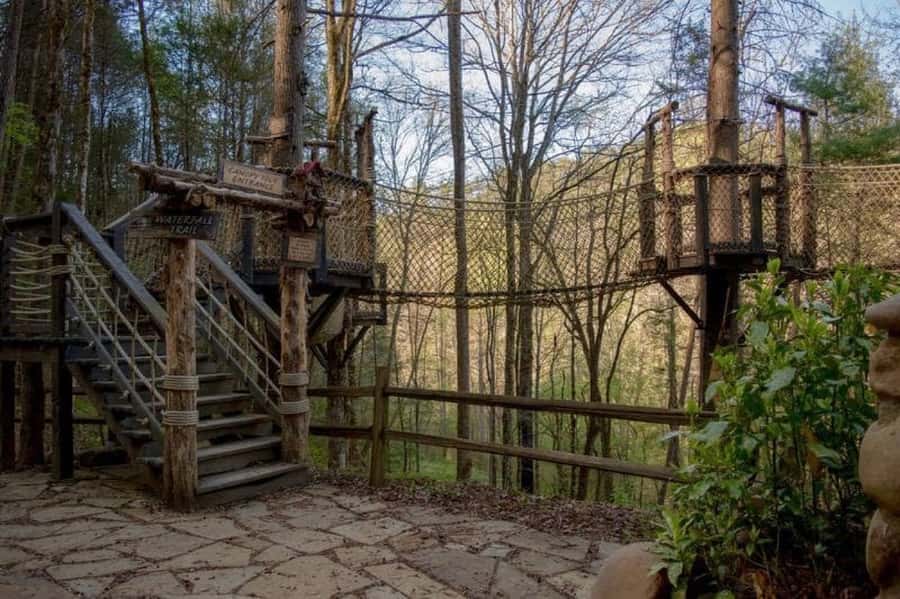 Foxfire Mountain: Hiking & Swinging Bridge Family Adventure - Key Points for Planning Your Visit