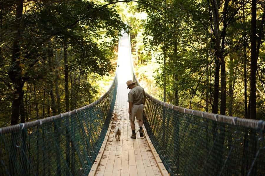 Foxfire Mountain: Hiking & Swinging Bridge Family Adventure - Follow the Trails to Lost Mine Falls and Sweden Furnace Iron Mine