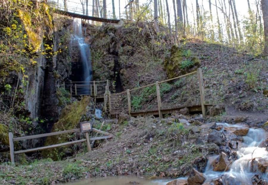 Foxfire Mountain: Hiking & Swinging Bridge Family Adventure - What $27 Buys You
