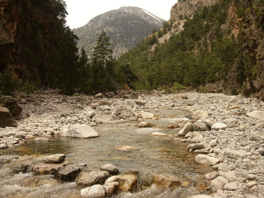 From Agia Galini/Matala: Samaria Gorge Hiking Tour - A mountain start at the Omalos Plateau