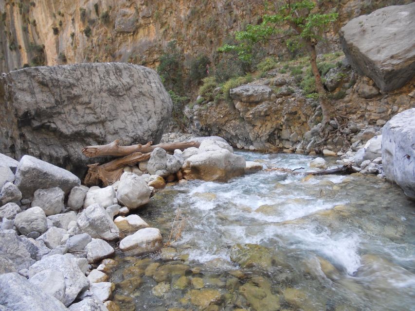 From Agia Galini/Matala: Samaria Gorge Hiking Tour - Why the path demands good shoes