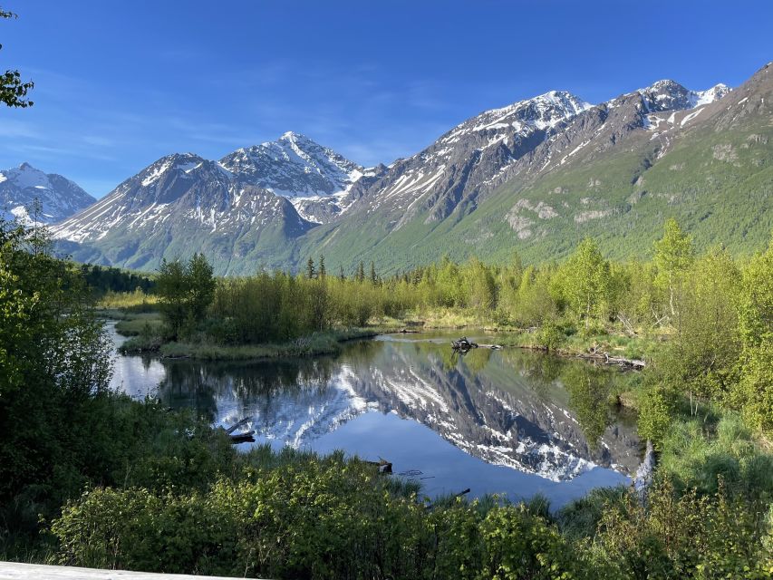 From Anchorage: Valley and Forest Hike with Naturalist Guide - Key points to know before you book