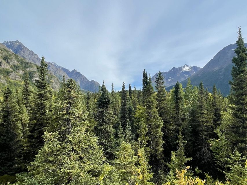 From Anchorage: Valley and Forest Hike with Naturalist Guide - From downtown Anchorage to Eagle River Valley