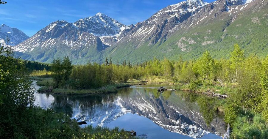 From Anchorage: Valley and Forest Hike with Naturalist Guide - What the $179 price includes