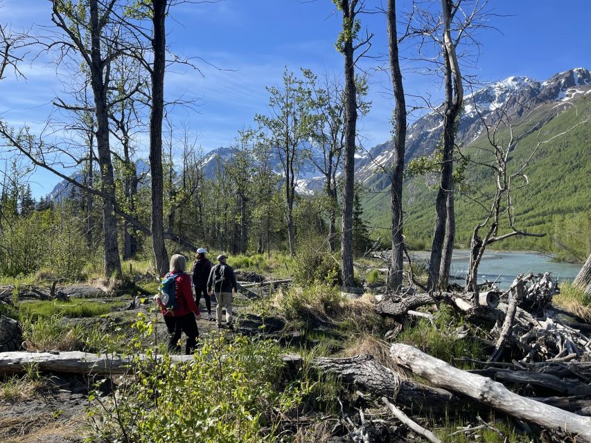 From Anchorage: Valley and Forest Hike with Naturalist Guide - A practical verdict on wildlife and value