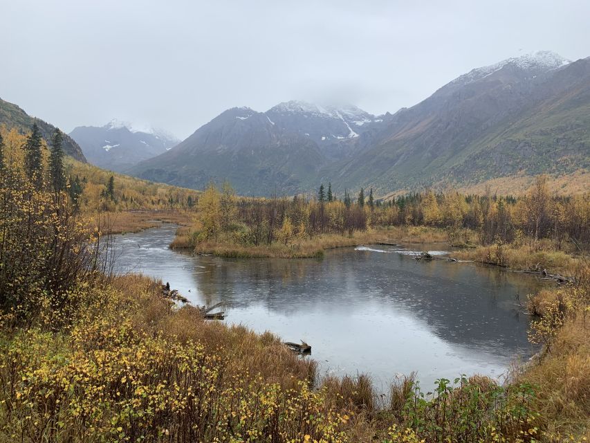 From Anchorage: Valley and Forest Hike with Naturalist Guide - Walking the historic Iditarod trail