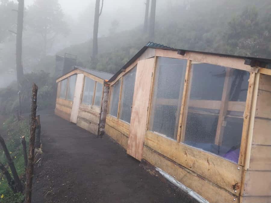 From Antigua: 2-Day Acatenango Volcano Hiking with Guide - Cold nights need more than the loaner jacket