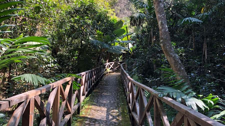 From Antigua Guatemala: Birdwatching and Scenic Hiking Tour - Why Finca El Pilar makes a good half-day outing