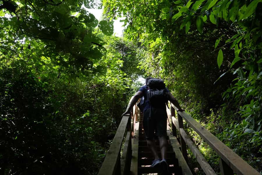 From Antigua Guatemala: Birdwatching and Scenic Hiking Tour - Finding birds with a bilingual guide