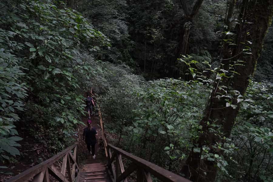 From Antigua Guatemala: Birdwatching and Scenic Hiking Tour - Who should book this outing?