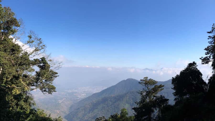 From Antigua Guatemala: Birdwatching and Scenic Hiking Tour - Starting with birds on the lower trails