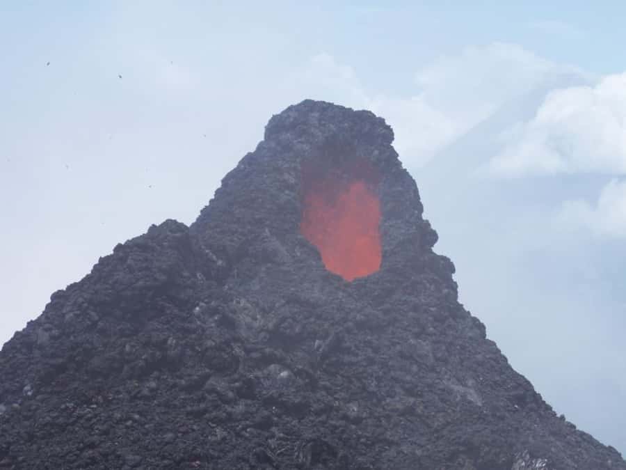 From Antigua: Pacaya Volcano Day Hike - Hot vents, marshmallows, and a picnic below the cone