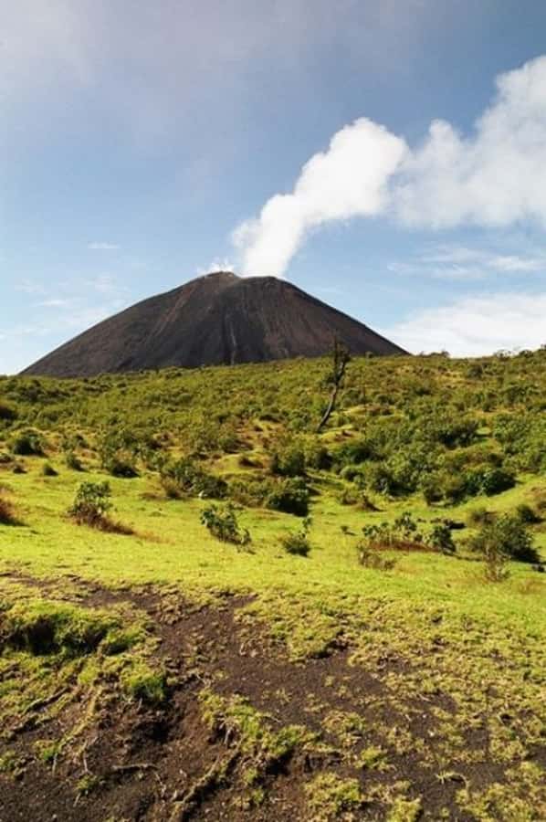 From Antigua: Pacaya Volcano Day Hike - Meeting at 8:00 or 14:00 in Antigua
