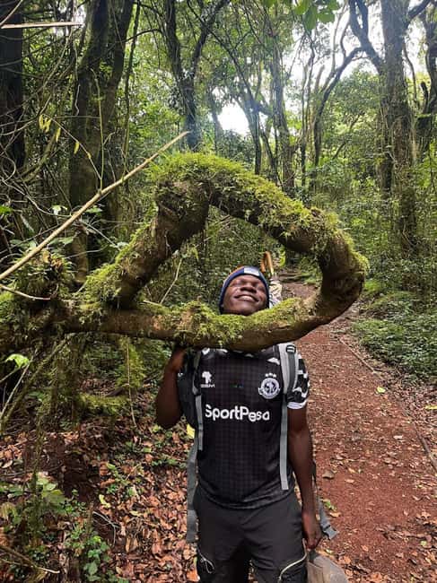 From Arusha/Moshi: Kilimanjaro Hike Marangu Route Day Trip - Mandara Hut at 2,720 meters