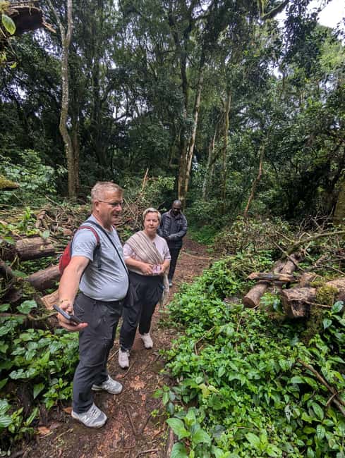 From Arusha/Moshi: Kilimanjaro Hike Marangu Route Day Trip - Who should choose this hike?