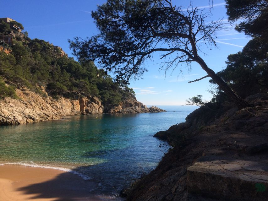 From Barcelona: Costa Brava Hike, Snorkel & Tossa de Mar - Guides and group style