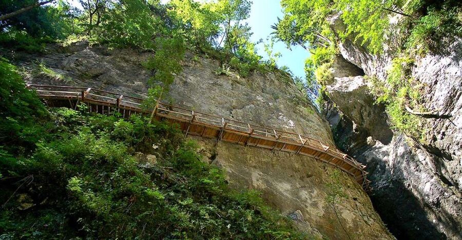 From Bled: Half-Day Pokljuka Gorge Trail Hike (Private) - Meeting in Bled and riding to the trail