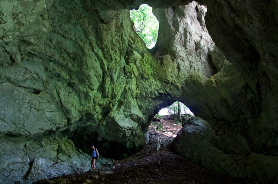 From Bled: Half-Day Pokljuka Gorge Trail Hike (Private) - Moderate hiking, with real uphill work