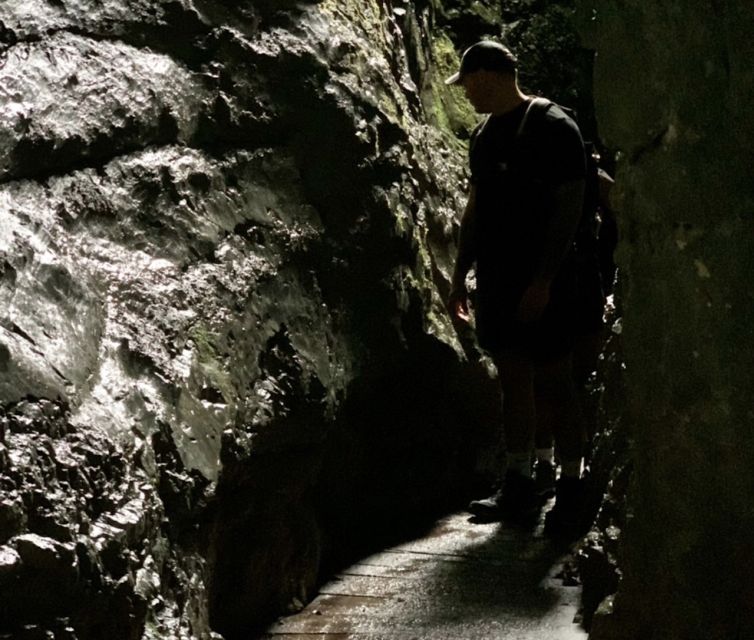 From Bled: Half-Day Pokljuka Gorge Trail Hike (Private) - Pokljuka or Vintgar Gorge?