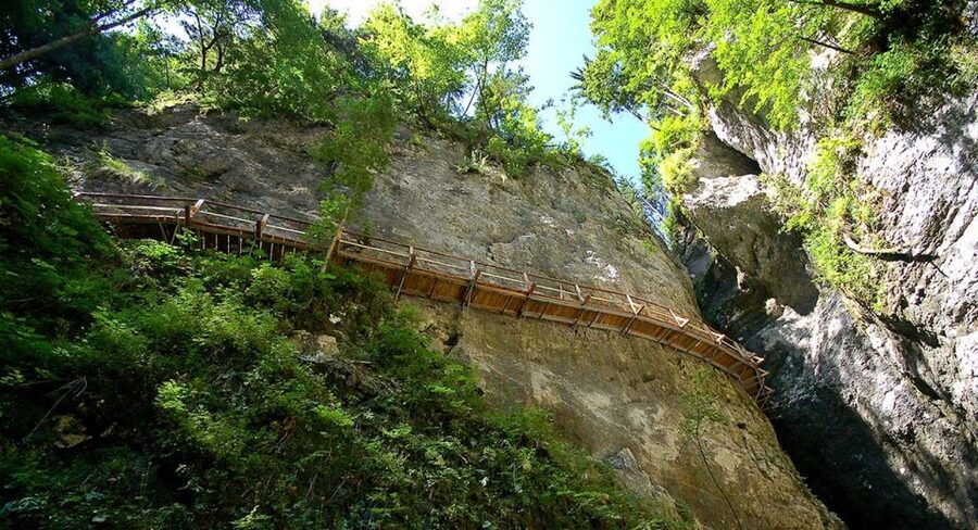 From Bled: Half-Day Pokljuka Gorge Trail Hike (Private) - Entering the small gorge and forest