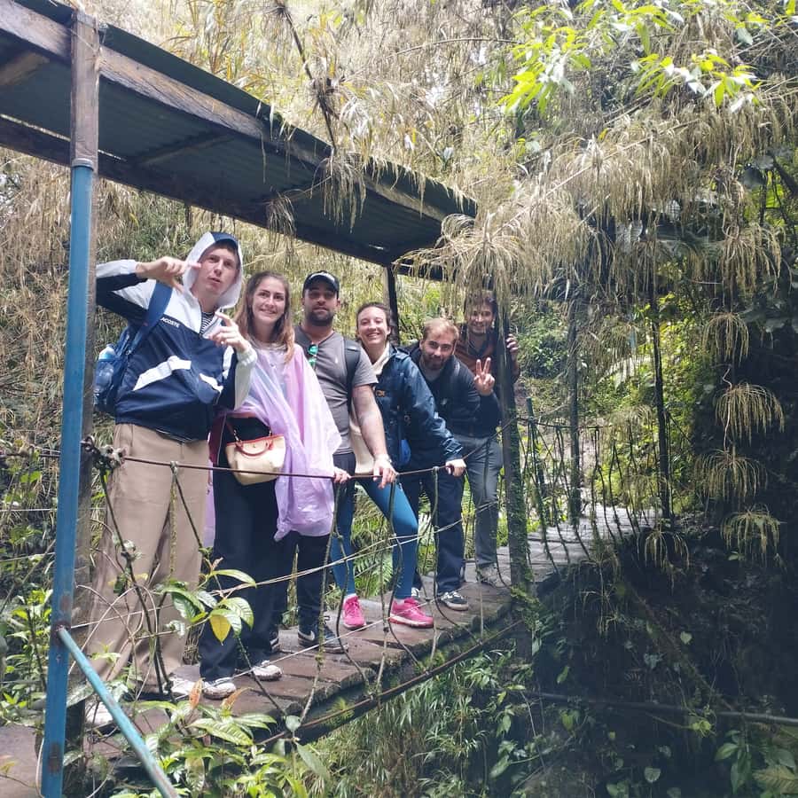From Bogota: La Chorrera Waterfall Guided Hike - The forest and Colombian biodiversity
