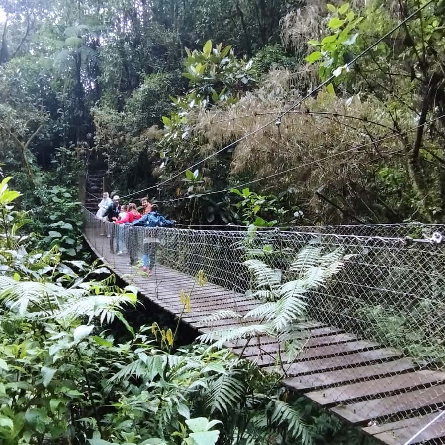 From Bogota: La Chorrera Waterfall Guided Hike - What the $97 price covers