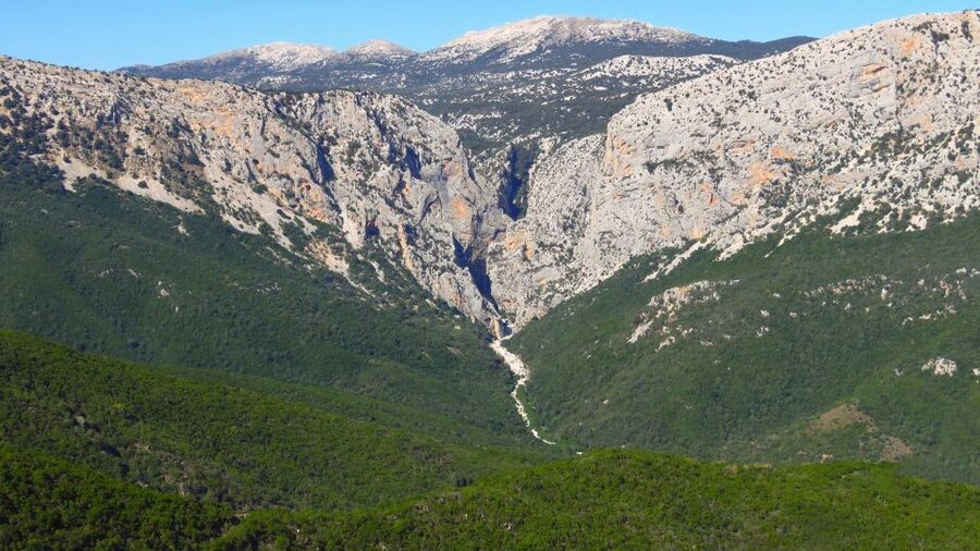 From Cala Gonone: Gorropu hiking with lunch - Key points to know before booking